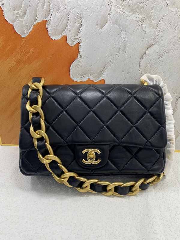 Chanel Handbags 510